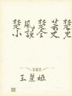 楚风楚芸楚鸿飞小说全文免费阅读