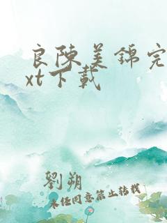 良陈美锦完整txt下载