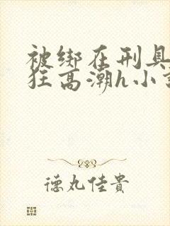 被绑在刑具上疯狂高潮h小说