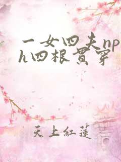 一女四夫np高h四根贯穿