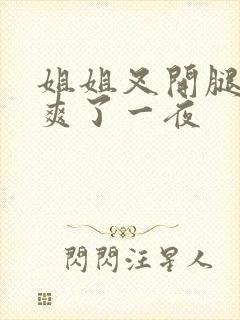 姐姐叉开腿让我爽了一夜
