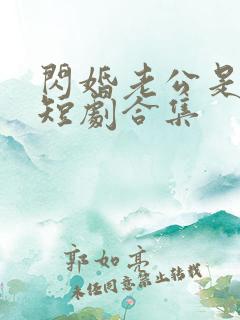 闪婚老公是总裁短剧合集