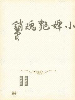 销魂艳婢小说免费