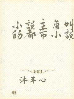 小说主角叫秦天的都市小说