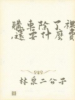 购车除了裸车价,还要什么费用