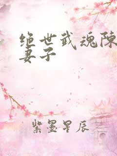 绝世武魂陈枫的妻子