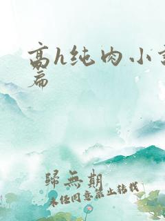 高h纯肉小说短篇