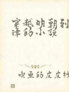 穿越明朝到朱元璋的小说