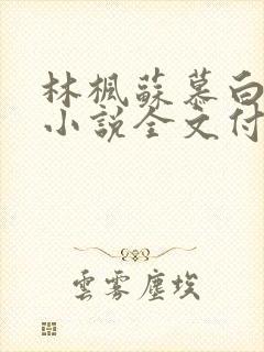 林枫苏慕白穿越小说全文付费阅读