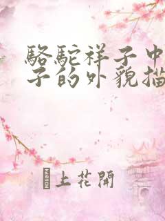 骆驼祥子中对祥子的外貌描写