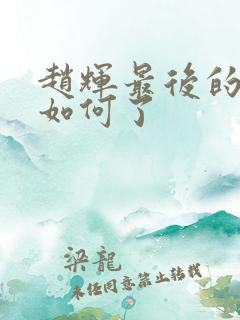 赵辉最后的结局如何了