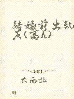 结婚前出轨前男友(高h)