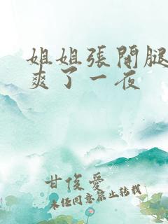 姐姐张开腿让我爽了一夜