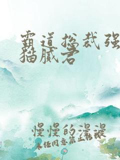 霸道总裁强制爱猫腻君