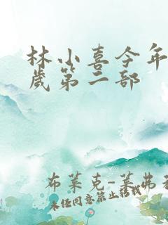 林小喜今年17岁第二部