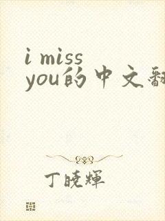 i miss you的中文翻译
