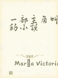 一部主角叫叶楚的小说