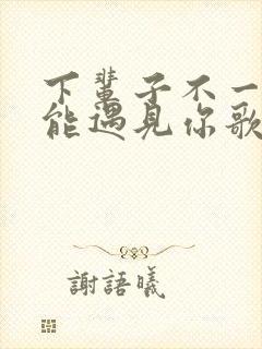 下辈子不一定还能遇见你歌词