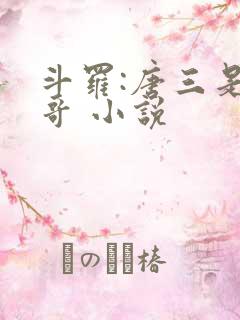 斗罗:唐三是我哥 小说