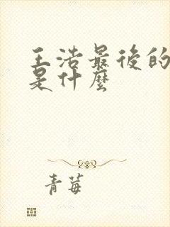 王浩最后的结局是什么