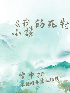 《我的死对头》小说