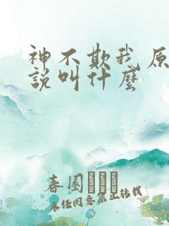神不欺我原著小说叫什么