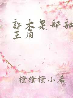 许木是哪部小说主角