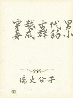 穿越古代男主妻妾成群的小说