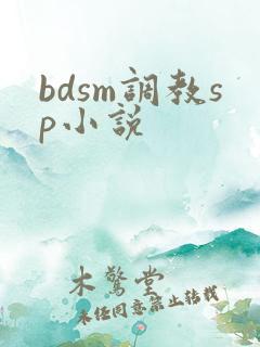 bdsm调教sp小说