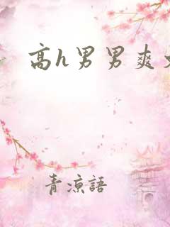 高h男男爽文