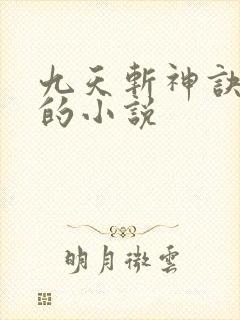 九天斩神诀林辰的小说