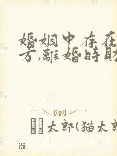 婚姻中存在过错方,离婚时财产如何分配