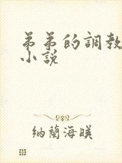 弟弟的调教日常小说