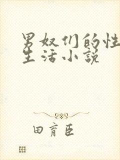 男奴们的性调教生活小说