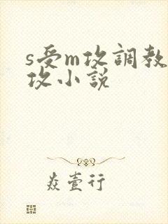 s受m攻调教虐攻小说