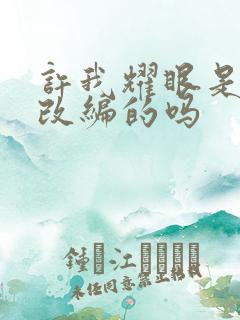 许我耀眼是小说改编的吗