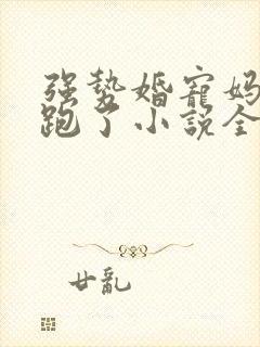 强势婚宠妈咪又跑了小说全文免费阅读