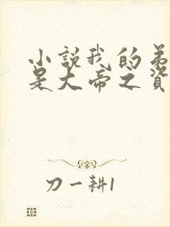 小说我的弟子全是大帝之资完全版