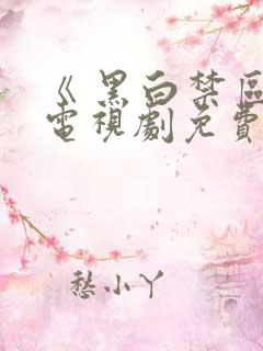 《 黑白禁区》电视剧免费看