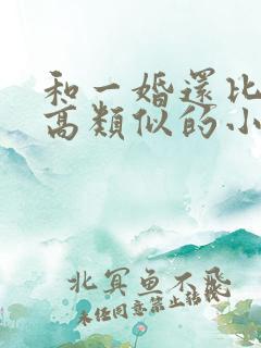 和一婚还比一婚高类似的小说
