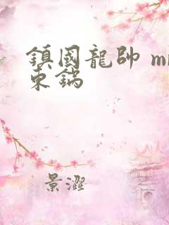 镇国龙帅 mr东锅