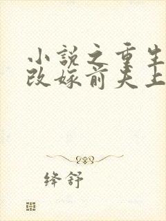 小说之重生七零改嫁前夫上司