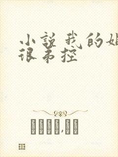 小说 我的姐姐很弟控
