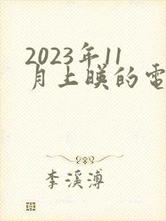 2023年11月上映的电影