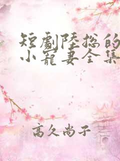 短剧陆总的替嫁小宠妻全集