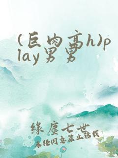(巨肉高h)play男男