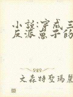 小说:穿成三个反派崽子的后娘怎么办