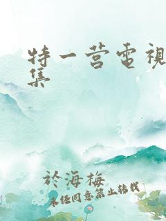 特一营电视剧全集