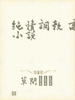 纯情调教 高h小说