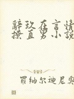 辞玖在言情文里撩直男小说